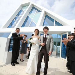 ブルーアステールの写真35枚目