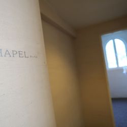 ブルーアステールの写真3枚目