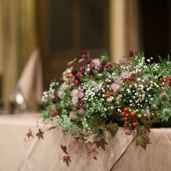 ブルーアステールの写真36枚目