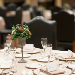 ブルーアステールの写真31枚目