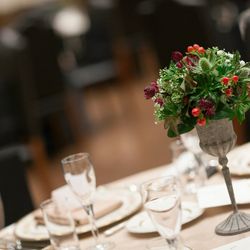 ブルーアステールの写真4枚目