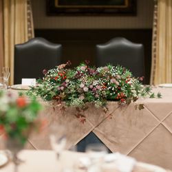 ブルーアステールの写真2枚目