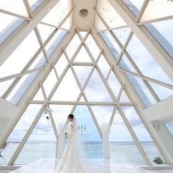 ブルーアステールの写真6枚目