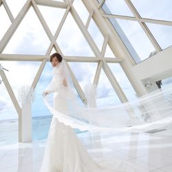 ブルーアステールの写真11枚目