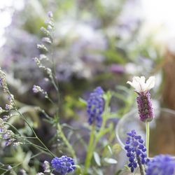 北野ガーデンの写真17枚目