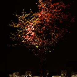 パレスホテル東京の写真23枚目