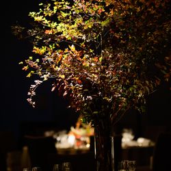 パレスホテル東京の写真29枚目