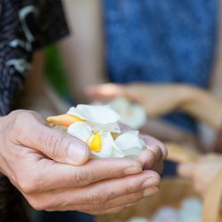 星のや 竹富島の写真14枚目