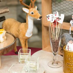 アイネス ヴィラノッツェ 大阪の写真33枚目