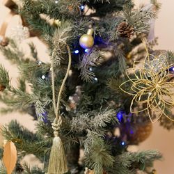 アイネス ヴィラノッツェ 大阪の写真25枚目