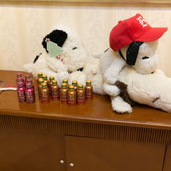 アイネス ヴィラノッツェ 大阪の写真24枚目