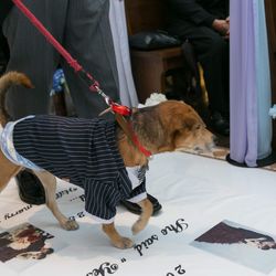 アイネス ヴィラノッツェ 大阪の写真8枚目