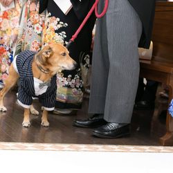 アイネス ヴィラノッツェ 大阪の写真29枚目