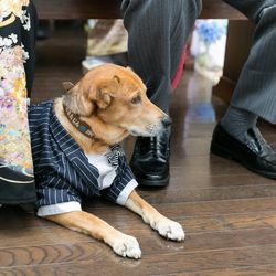 アイネス ヴィラノッツェ 大阪の写真35枚目