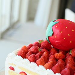 ララシャンス 博多の森の写真23枚目