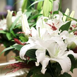 アニバーサリー アン 恵比寿の写真8枚目