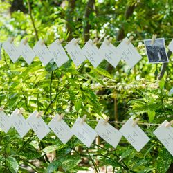 ザ・ガーデンオリエンタル大阪の写真31枚目