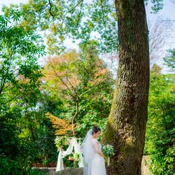 ザ ナンザンハウスの写真23枚目