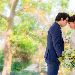 ザ ナンザンハウスの写真13枚目