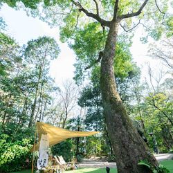 ザ ナンザンハウスの写真23枚目