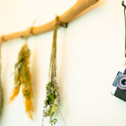 ザ ナンザンハウスの写真5枚目