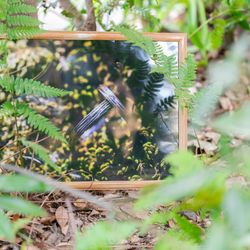 ザ ナンザンハウスの写真18枚目