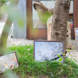 ザ ナンザンハウスの写真16枚目