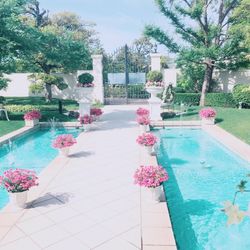 アートグレイス・ウエディングコースト 大阪の写真35枚目