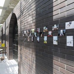 Mia Viaの写真23枚目