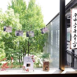 Mia Viaの写真24枚目