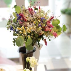 Mia Viaの写真1枚目