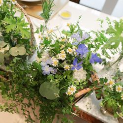 Mia Viaの写真16枚目