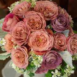 アールベルアンジェ札幌の写真1枚目