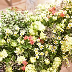 ザ コンチネンタル横浜の写真16枚目