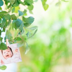 ラソールガーデン大阪の写真11枚目