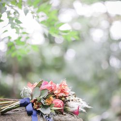 ザ ナンザンハウスの写真36枚目