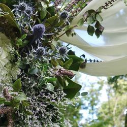 ザ ナンザンハウスの写真13枚目