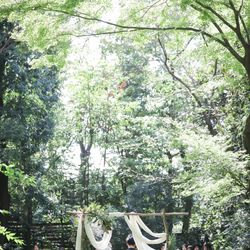 ザ ナンザンハウスの写真7枚目