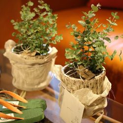 TRUNK HOTELの写真16枚目