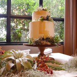 TRUNK HOTELの写真25枚目