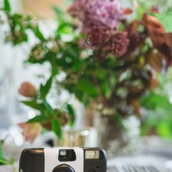 古我邸の写真15枚目