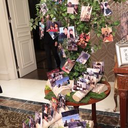 グラストニアの写真3枚目