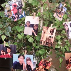 グラストニアの写真16枚目