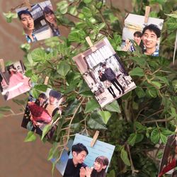 グラストニアの写真28枚目