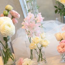 グラストニアの写真14枚目