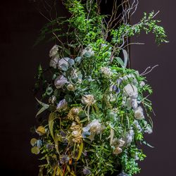 アンダーズ東京の写真22枚目