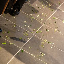 TRUNK HOTELの写真1枚目