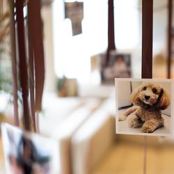 北野ガーデンの写真14枚目