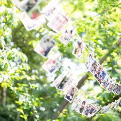 北野ガーデンの写真14枚目