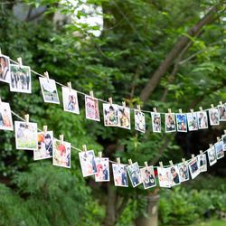 北野ガーデンの写真27枚目